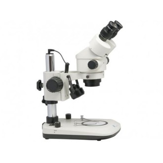 Microscopio estereoscópico...
