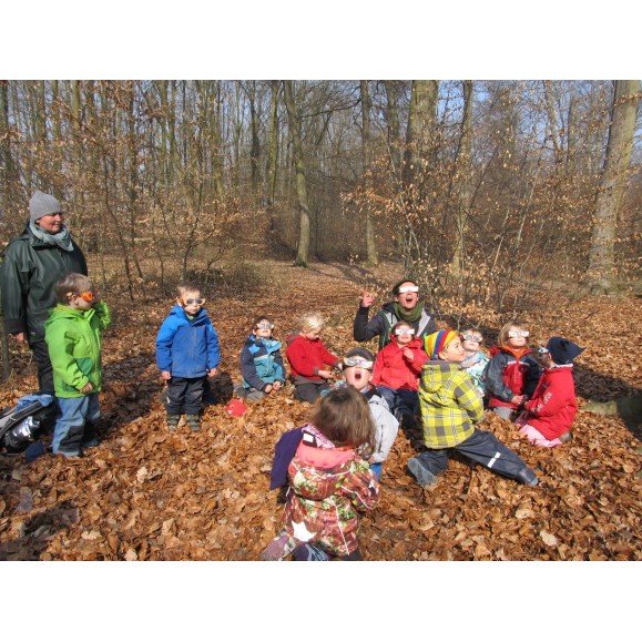 Pack de 10 unidades de gafas para eclipse solar BAADER PLANETARIUM AstroSolar® Silver/Gold 2459295