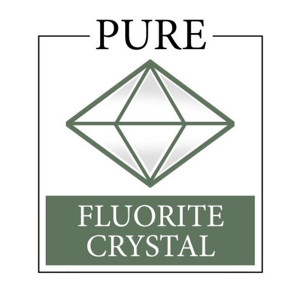 Kit Kowa telescopio terrestre TSN-88S con ocular Zoom 20-60x TE-11 WZ II