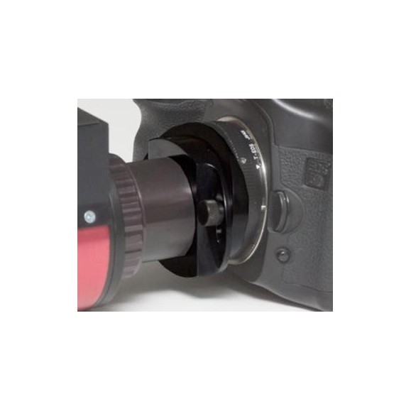 Corrector de interferencias Daystar de montura T