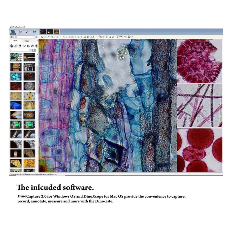 Cámara ocular  Dino-Lite AM7025X