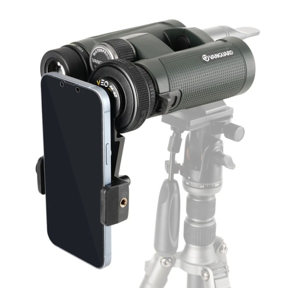 KIT DE PRISMÁTICOS Baja Dispersión Vanguard VEO HD 8X42 8420BDL