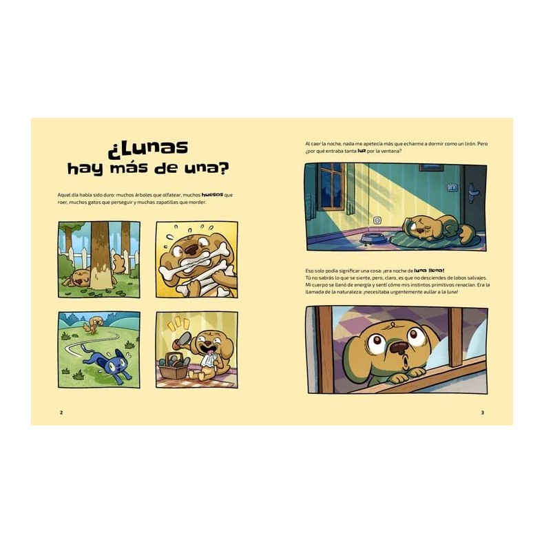 Libro El Universo (Nanda Rea)