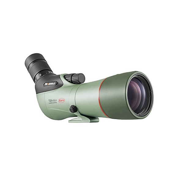 Kit telescopio terrestre Kowa TSN-66A PROMINAR Zoom angular 25-60X