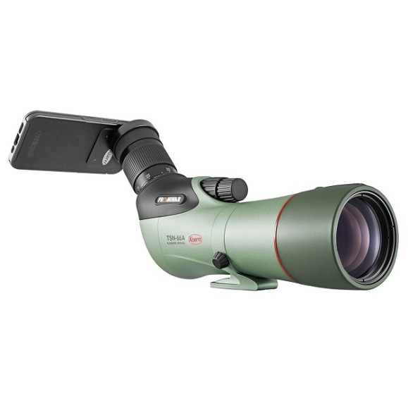 Kit telescopio terrestre Kowa TSN-66A PROMINAR Zoom angular 25-60X