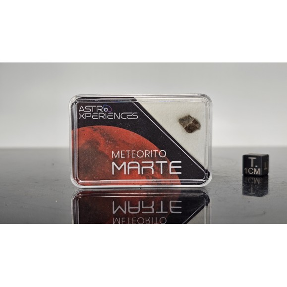 Meteorito de Marte Erg Chech 012