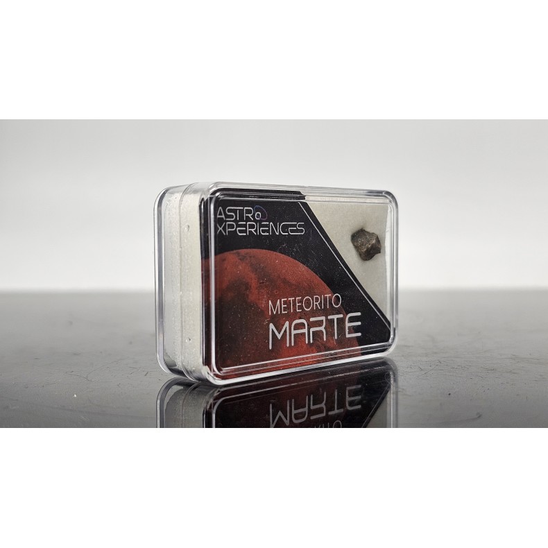 Meteorito de Marte Erg Chech 012