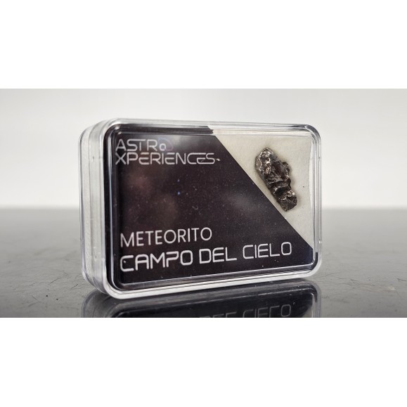 Meteorito Campo del cielo