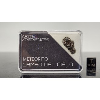Meteorito Campo del cielo