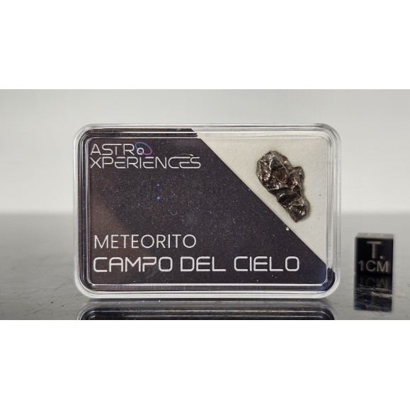 Meteorito Campo del cielo