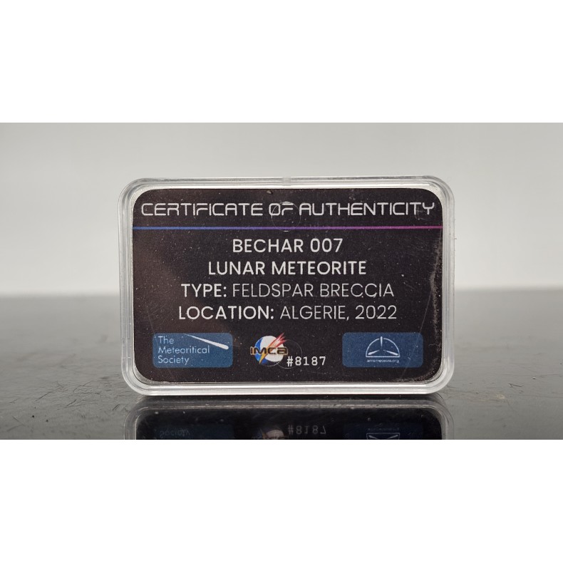 Meteorito lunar Bechar 007