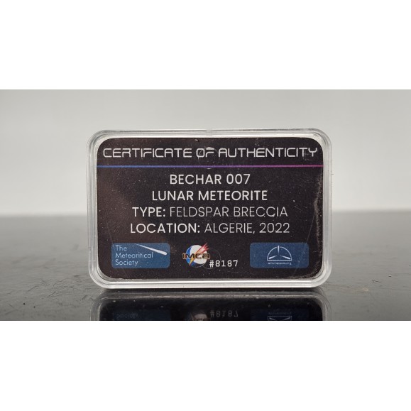 Meteorito lunar Bechar 007