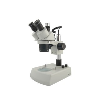 Microscopio Estereoscópico BMS 11-B-2L Trino