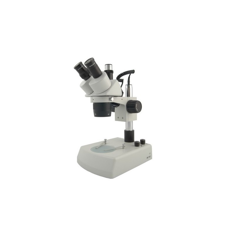 Microscopio Estereoscópico BMS 11-B-2L Trino