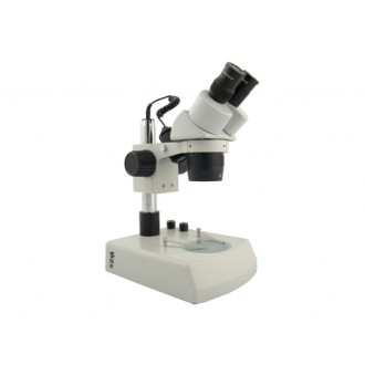 Microscopio Estereoscópico BMS 11-C-2L