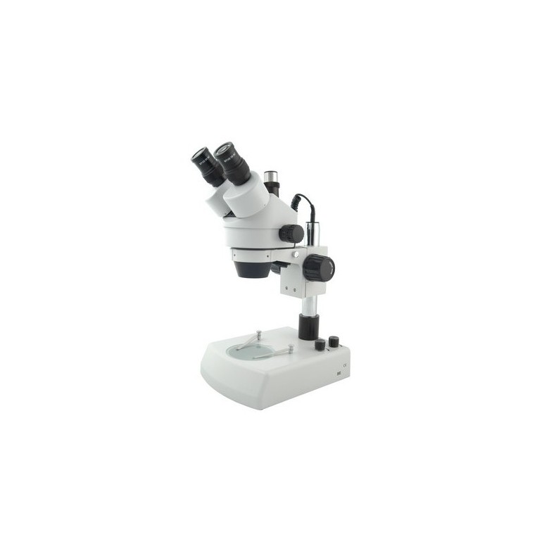 Microscopio Estereoscópico BMS 143 Trino Zoom