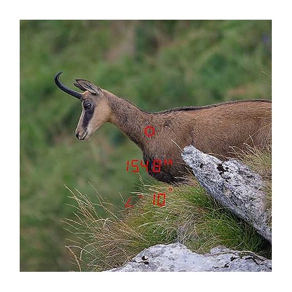 Prismático GPO RANGEGUIDE 3200 10x40 Negro