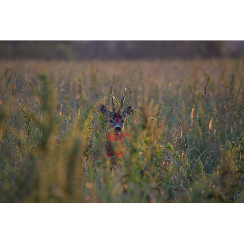 Prismático GPO RANGEGUIDE 2800 10x50...