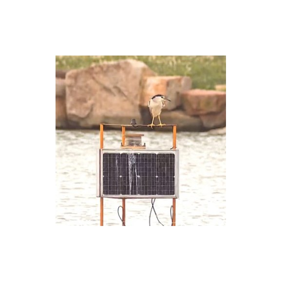 Telescopio refractor triplete apocromático SeeStar S50