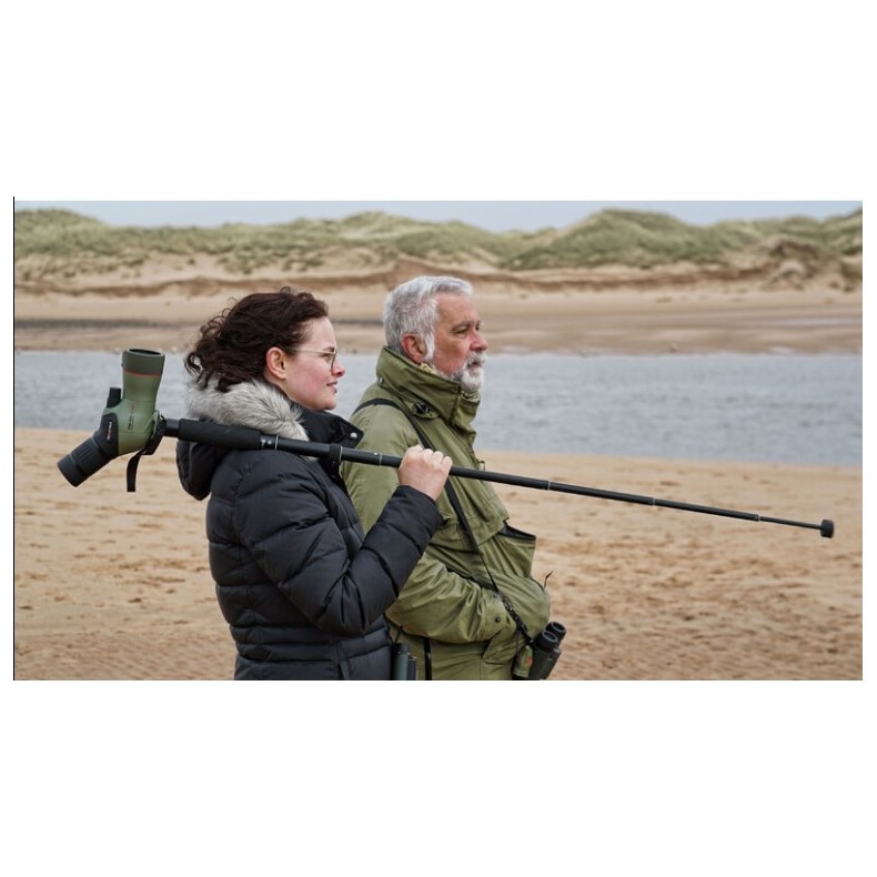 Kit Telescopio Kowa Prominar acodado...