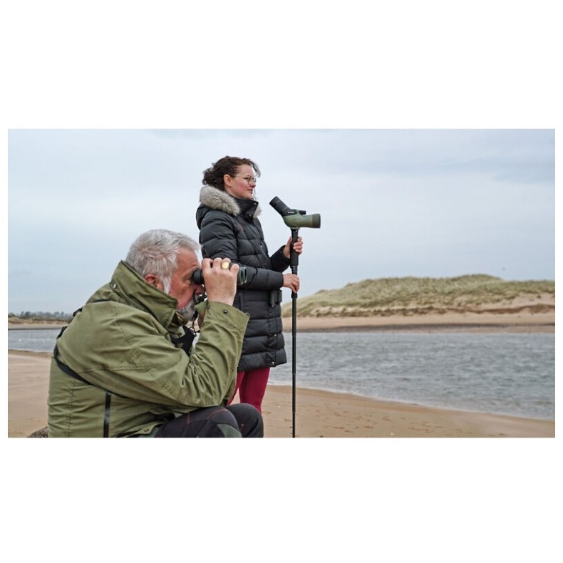 Kit Telescopio Kowa Prominar acodado...