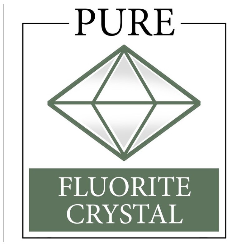 Kit Telescopio Kowa Prominar recto...