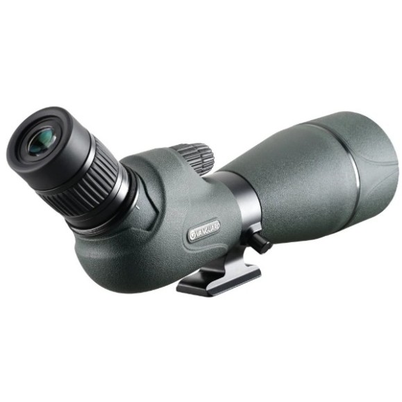 Telescopio terrestre VANGUARD ENDEAVOR VEO HD IV 82 A