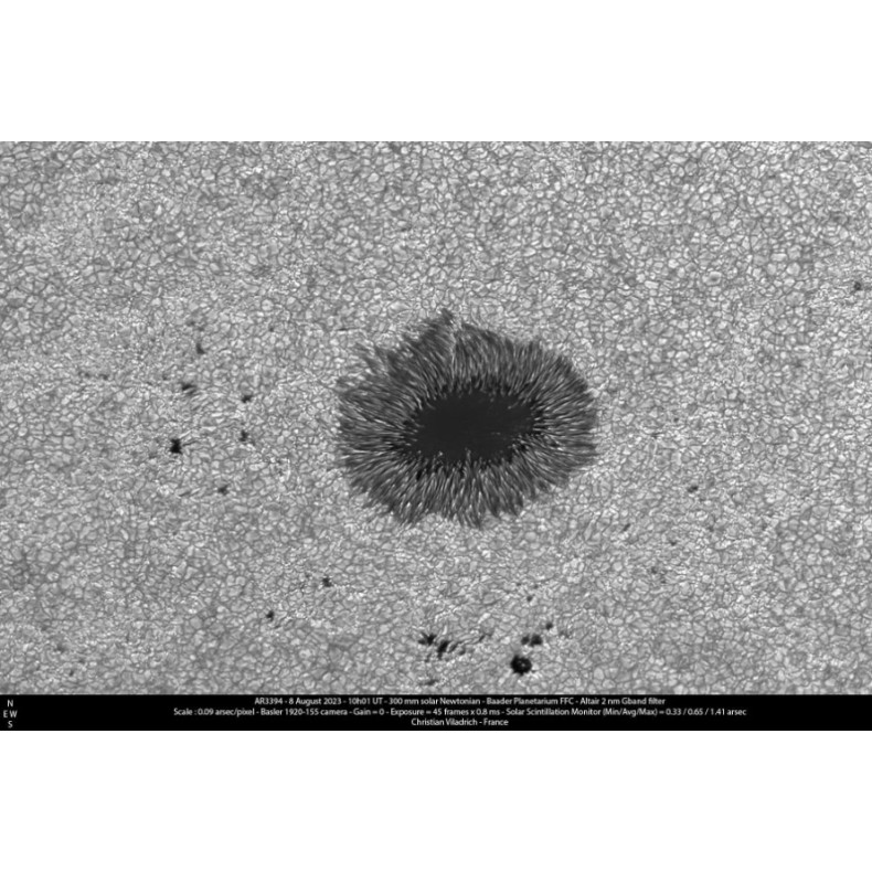 Filtro ALTAIR ASTRO F200GB43032 de...