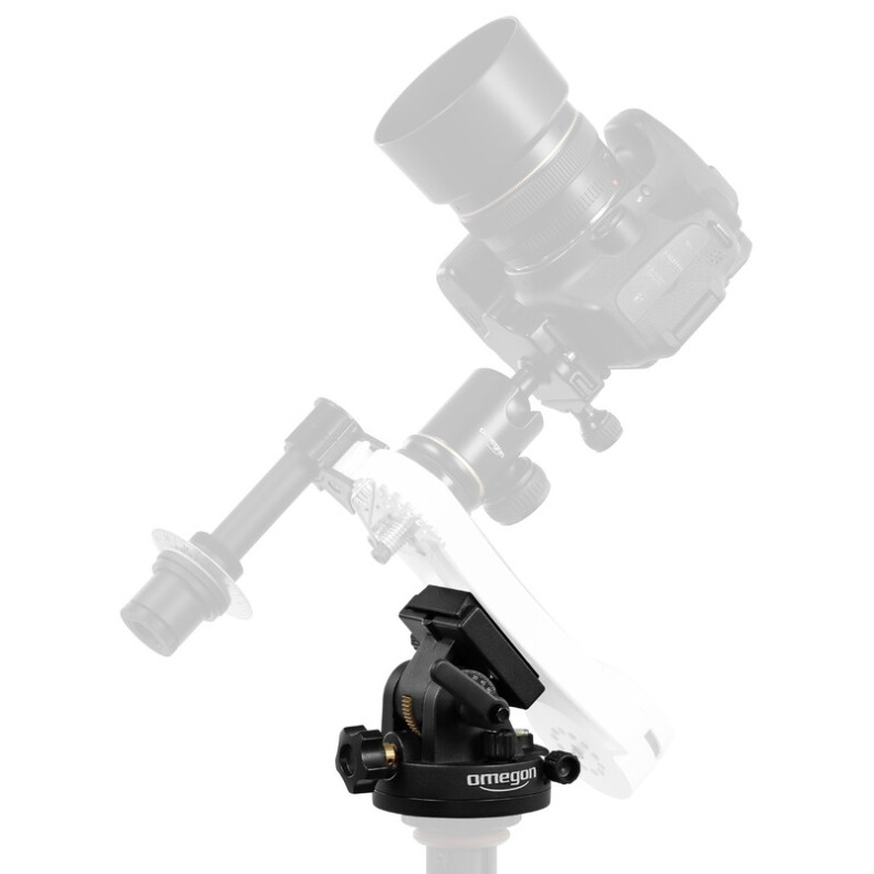 Cuña polar con barra de cola de... Cuña polar con barra de cola de...