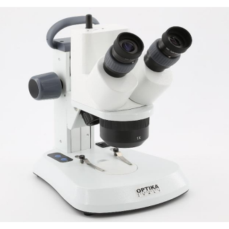Microscopio estereoscópico...