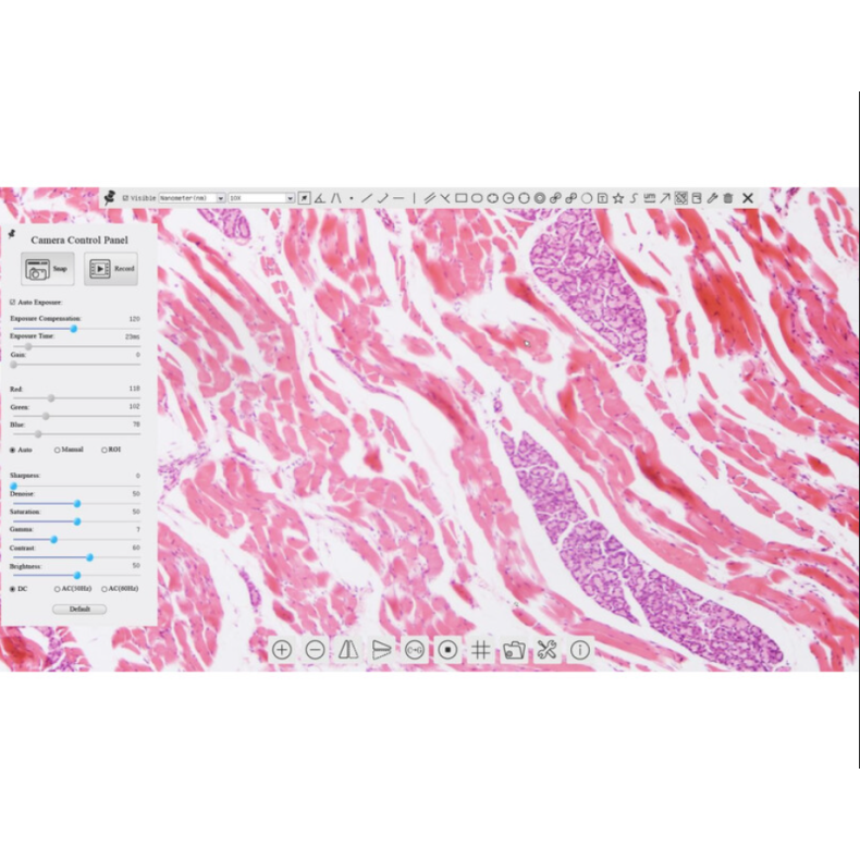 Cámara TOUPTEK ToupCam XCAMLITE1080P... Cámara TOUPTEK ToupCam XCAMLITE1080P...