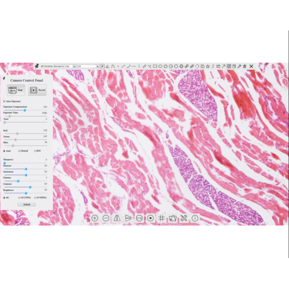 Cámara TOUPTEK ToupCam XCAMLITE1080P A, color, CMOS, 1/2.8", 2.9µm, 60fps, 2 MP, HDMI