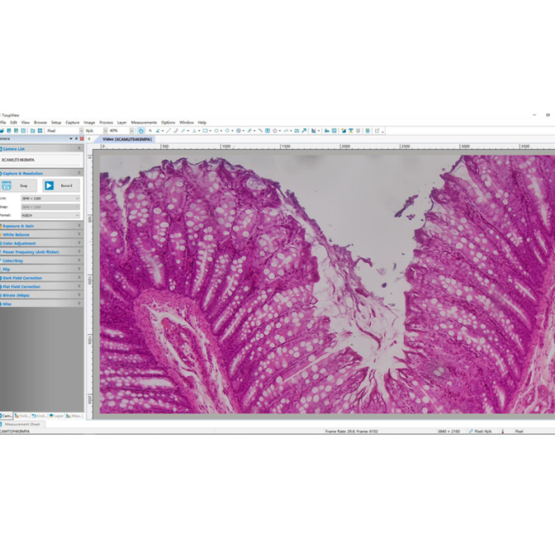 Cámara TOUPTEK ToupCam XCAMLITE4K... Cámara TOUPTEK ToupCam XCAMLITE4K...