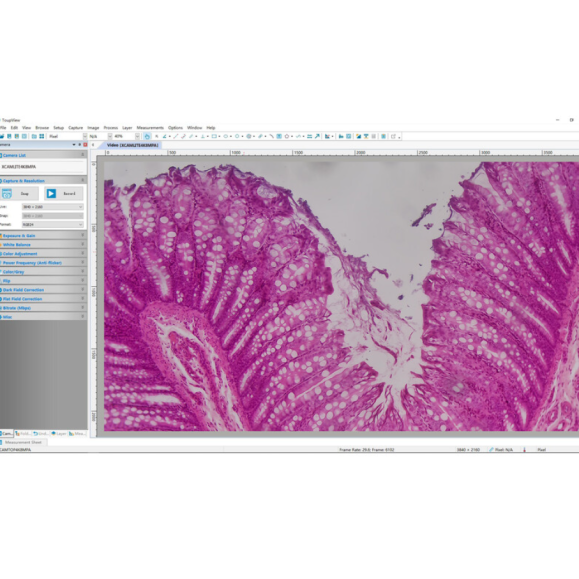 Cámara TOUPTEK ToupCam XCAMLITE4K 8MPA, color, CMOS, 1/1.8", 2 µm, 30/20 fps, 8 MP, HDMI/USB