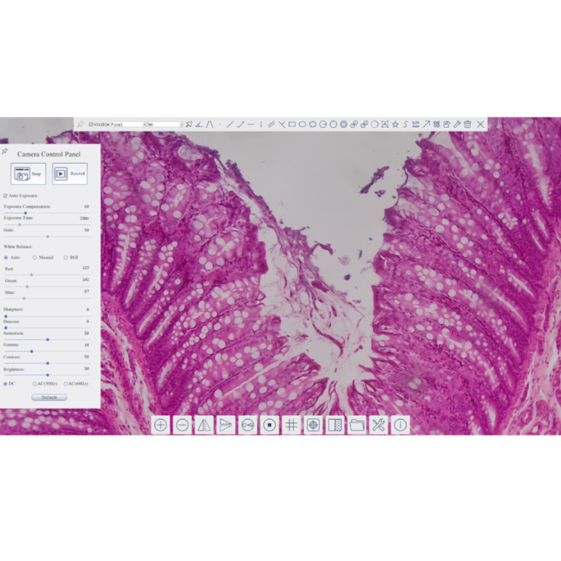 Cámara TOUPTEK ToupCam XCAMLITE4K...