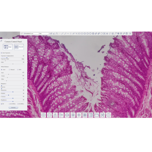 Cámara TOUPTEK ToupCam XCAMLITE4K 8MPB, color, CMOS, 1/1.2", 2.9 µm, 30/20 fps, 8 MP, HDMI/USB 3.0