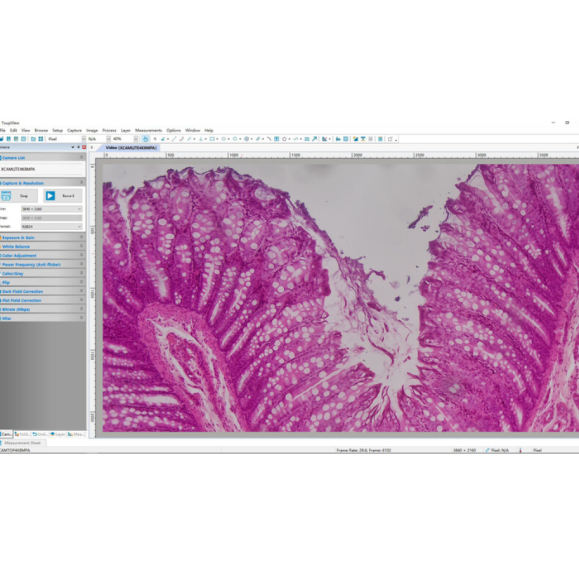 Cámara TOUPTEK ToupCam XCAMLITE4K 8MPB, color, CMOS, 1/1.2", 2.9 µm, 30/20 fps, 8 MP, HDMI/USB 3.0