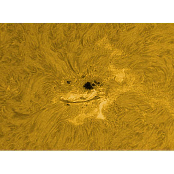 Filtro solar LUNT LS100FHa / B1800d1