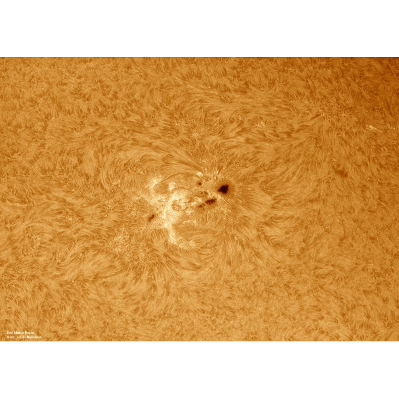 Filtro solar LUNT H-Alpha LS100FHa /... Filtro solar LUNT H-Alpha LS100FHa /...