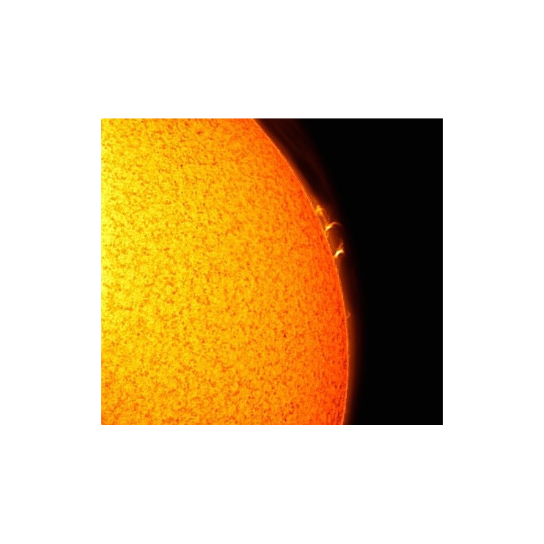 Filtro solar LUNT H-Alpha LS50FHa /...