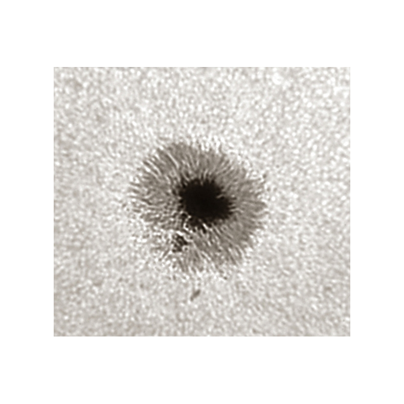 Prisma de Herschel LUNT LS1.25HW...