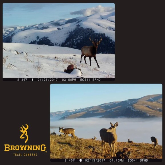 Cámara de trampeo Strike Force Pro x 1080 BROWNING