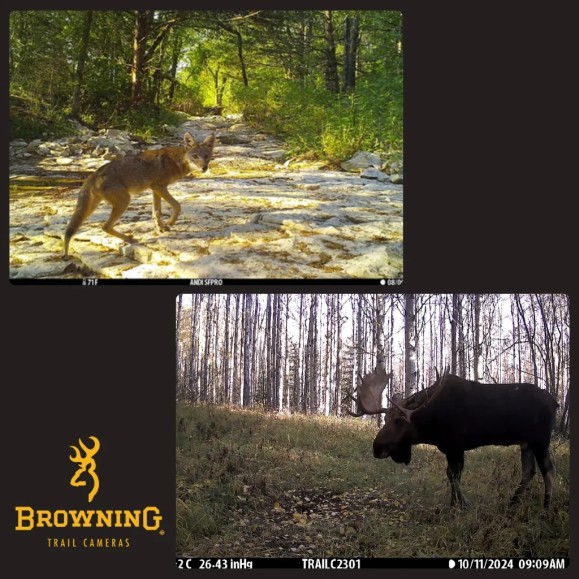 Cámara de trampeo Dark Ops Pro X 1080 BROWNING