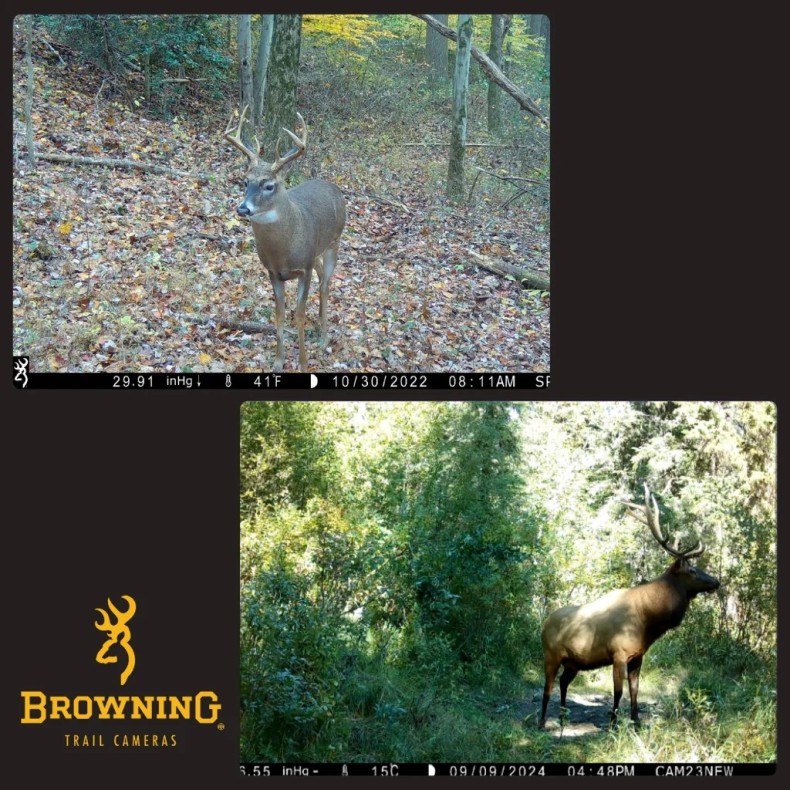 Cámara de trampeo Spec Ops Elite HP5... Cámara de trampeo Spec Ops Elite HP5...