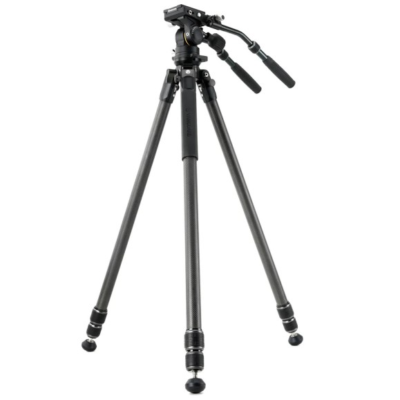 Kit VANGUARD Alta Pro 3VL 303CV18 - trípode de vídeo de carbono, rótula VEO PV-18