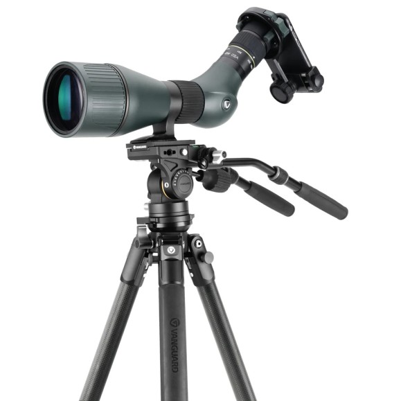 Kit VANGUARD Alta Pro 3VL 303CV18 - trípode de vídeo de carbono, rótula VEO PV-18