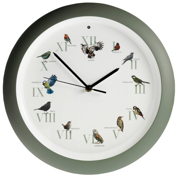 Reloj de Pared con Sonidos de Pájaros – 34 cm diámetro