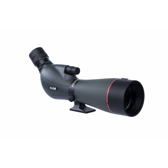 Telescopio terrestre Focus Viewmaster ED 20-60x80 WP