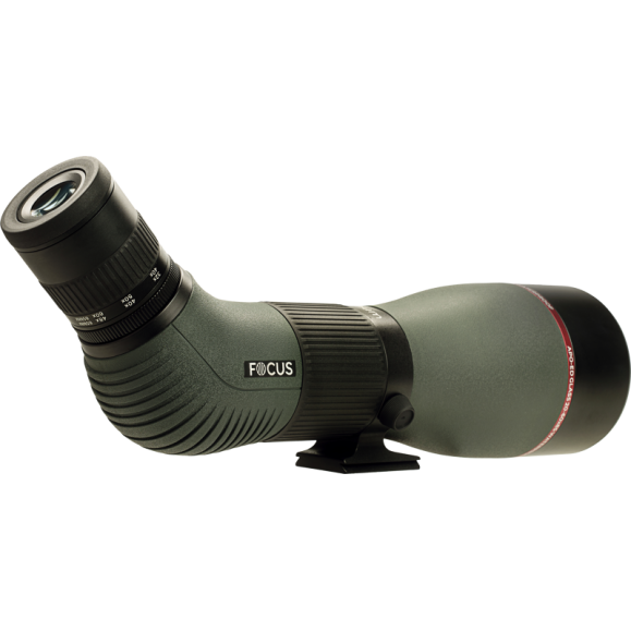 Telescopio terrestre FOCUS Optimum ED 85mm ocular zoom 20-60x