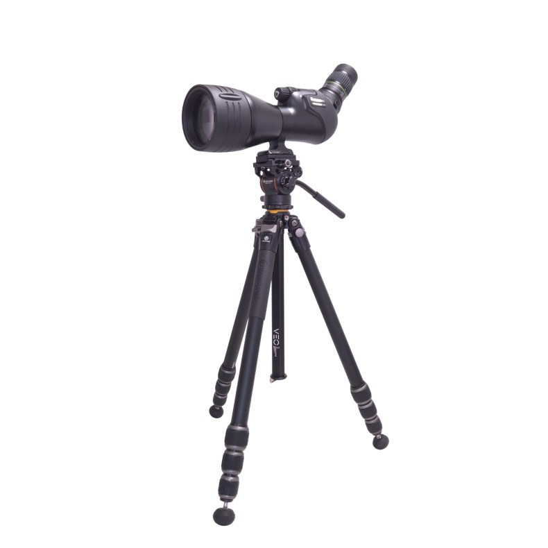 Kit Telescopio Terrestre VANGUARD...